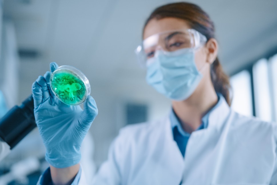 Australia big battle with coronavirus variants in 4 cities