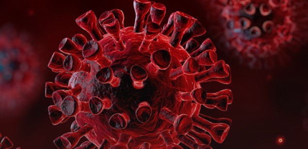 If a family member gets sick? What to do?