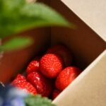 Wimbledon 2021 to advocate going green to the world