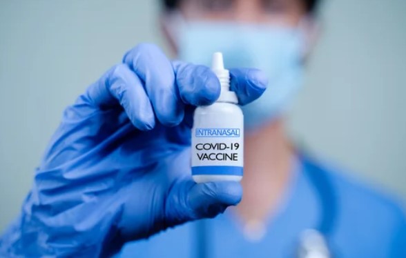 First Intranasal Vaccine from Bharat Biotech gets Phase 2/3 trials approval