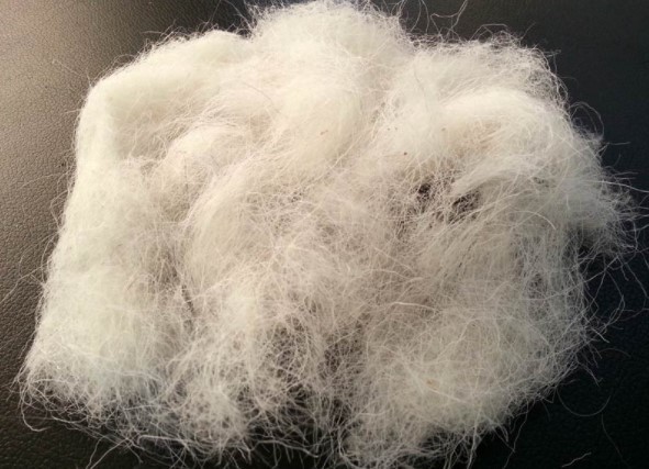 Indian Scientists Develop New Keratin Waste Conversion Technology