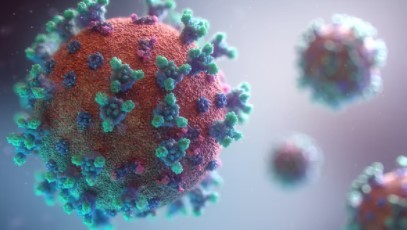 Scientists Discover a Highly Mutant New COVID Variant; WHO to Hold Crisis Meet