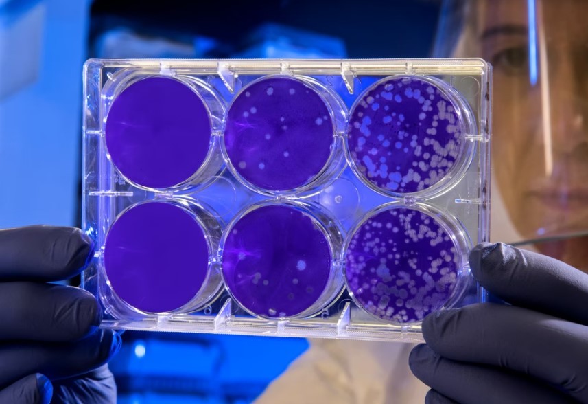 World Needs a New Vaccine Against Infant Killer Bacterial Infection