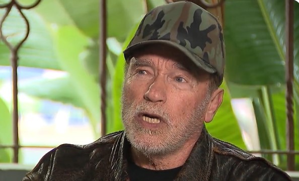 Arnold Schwarzenegger Escapes Unhurt in a 4 Vehicle Crash