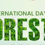 World Forest Day: Global Leaders Pledge Vigilance, Save the Forests