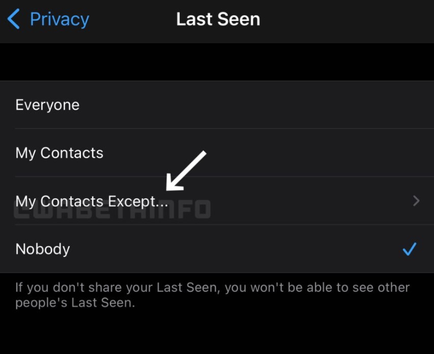 WhatsApp New Privacy Option