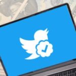 Twitter Blue rollout give rise to a new wave of fake accounts
