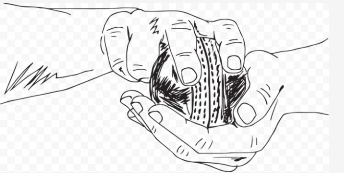 Cricket News: Details of MCA Talent Hunt for Fast Bowlers