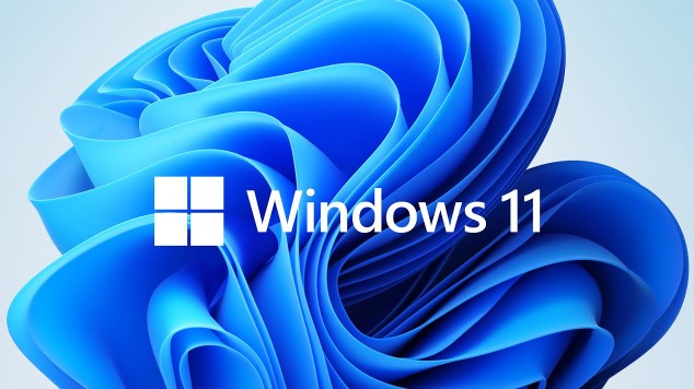 windows 11