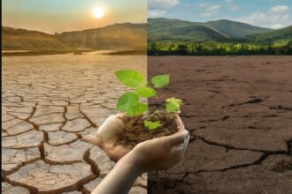 World Environment Day 2024