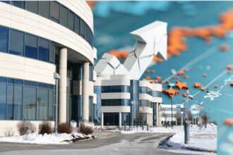 IT Sector - BNP Paribas Report