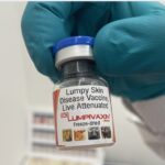 Biovet Lumpy Skin Disease Vaccine