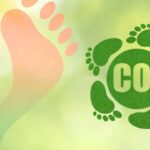 BioE3 Policy India