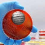 Bharat Biotech Paratyphi Vaccine