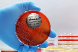 Bharat Biotech Paratyphi Vaccine