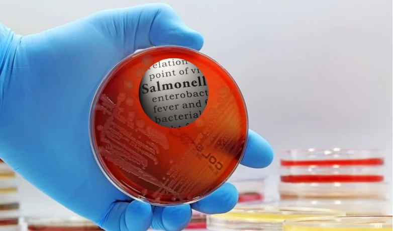 Bharat Biotech Paratyphi Vaccine