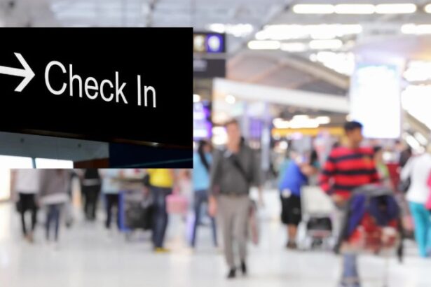 Airport Check in Glitch