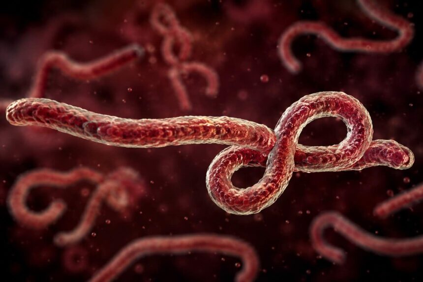 Ebola