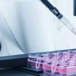 Bharat biotech Nucelion
