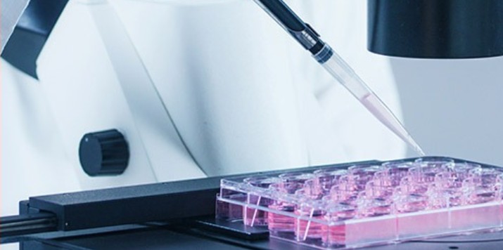 Bharat biotech Nucelion